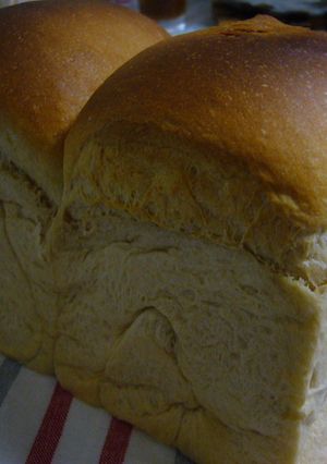 もっちり生クリームパン-レシピのメイン写真