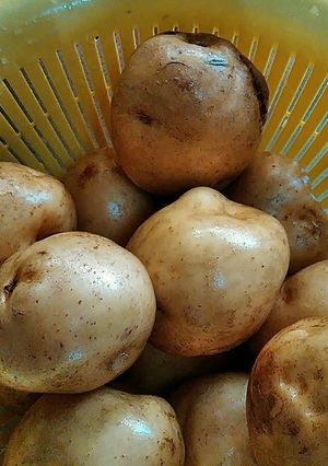 肉じゃが♡準備！-レシピのメイン写真