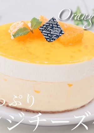 オレンジチーズケーキ-レシピのメイン写真