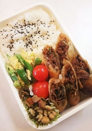 お弁当(11/13) 春巻き-レシピのメイン写真
