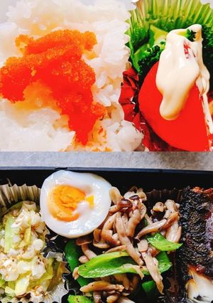 さばの塩焼き弁当-レシピのメイン写真