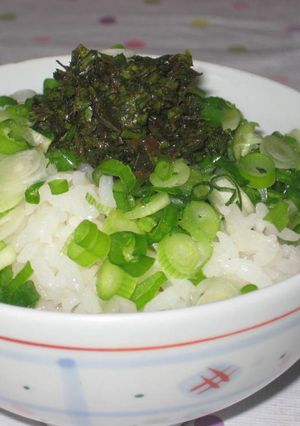 刻み葱とにんにく醤油ダレのご飯-レシピのメイン写真
