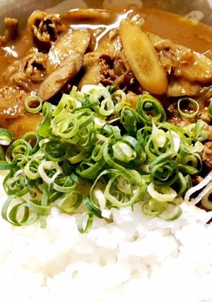 お蕎麦屋さん風！牛ごぼうカレー！-レシピのメイン写真