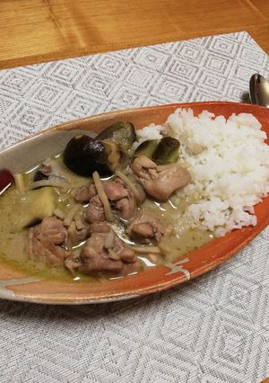 タイの家庭料理！ココナッツグリーンカレー-レシピのメイン写真