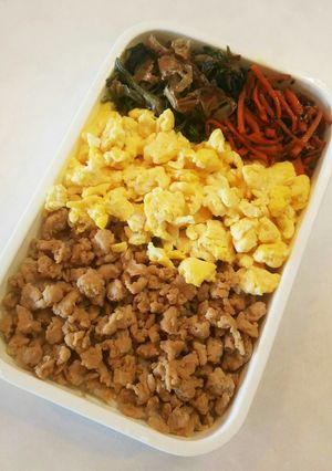 お弁当(9/25)とりそぼろ-レシピのメイン写真