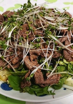牛でも豚でも!しゃぶしゃぶサラダ✩.*˚-レシピのメイン写真