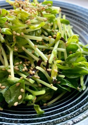 豆苗と胡麻のアンチエイジングサラダ！-レシピのメイン写真