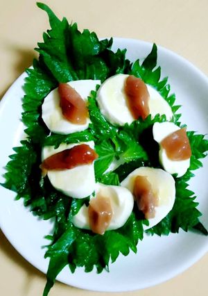 梅しそカプレーゼ-レシピのメイン写真