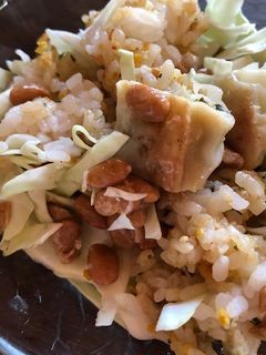 納豆と餃子のスタミナまぜご飯-レシピのメイン写真