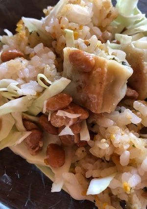 納豆と餃子のスタミナまぜご飯-レシピのメイン写真