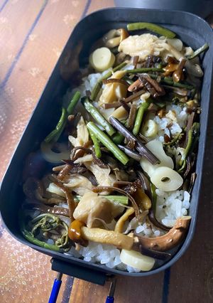 キャンプ飯！メスティンで簡単山菜醤油ご飯-レシピのメイン写真