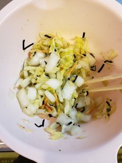浅漬け。白菜の浅漬けをお茶漬けの素で、-レシピのメイン写真