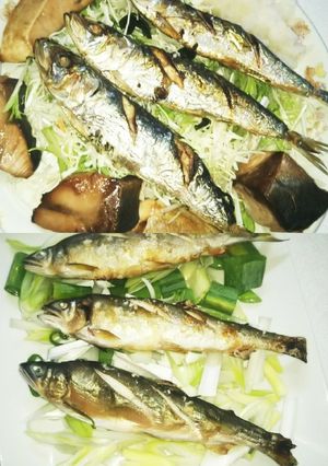 焼き魚の巻き❗️（血管ダイエット1411-レシピのメイン写真