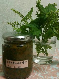 しその実の味噌漬け!-レシピのメイン写真