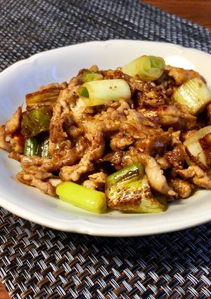 豚肉のねぎのピリ辛味噌炒め-レシピのメイン写真