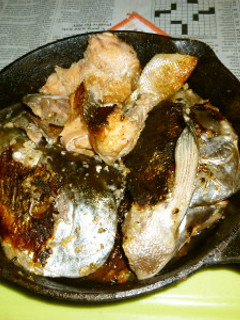 イシスキで秋鮭の兜の塩麹焼き-レシピのメイン写真
