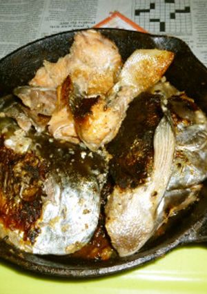 イシスキで秋鮭の兜の塩麹焼き-レシピのメイン写真