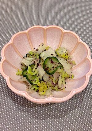 簡単浅漬☆白菜とキュウリのゆかり漬け-レシピのメイン写真