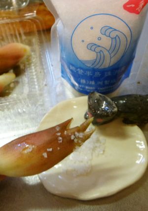最速の珠洲のみょうがの塩サラダ-レシピのメイン写真