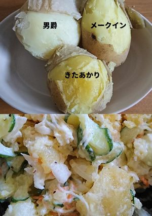ハム卵なし！3種のじゃが芋のポテトサラダ-レシピのメイン写真