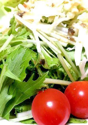 生姜焼きの付け合わせサラダ（備忘）-レシピのメイン写真