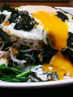 ニラ丼-レシピのメイン写真