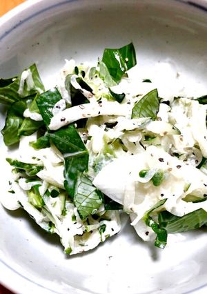 覚書:冬瓜で夏野菜のサラダ-レシピのメイン写真