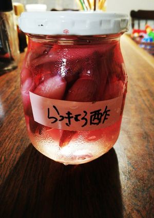 茗荷谷のらっきょう酢漬け-レシピのメイン写真