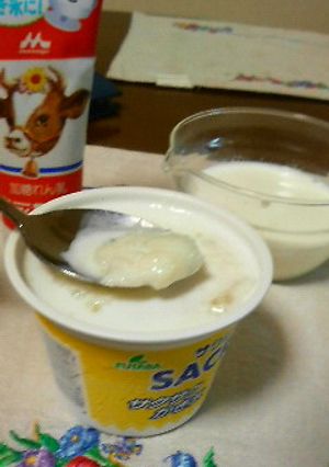 カチコチかき氷の美味しい食べ方-レシピのメイン写真