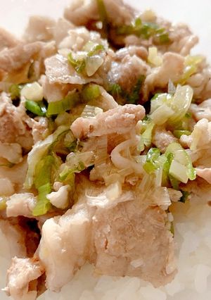 ねぎ塩豚丼-レシピのメイン写真