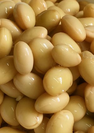 大豆の水煮(圧力鍋)-レシピのメイン写真