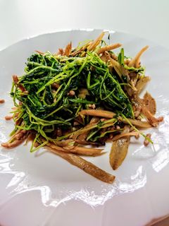 ゴボウ入豆苗炒め-レシピのメイン写真