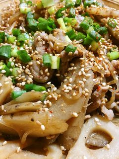 根菜のピリ辛炒め煮-レシピのメイン写真