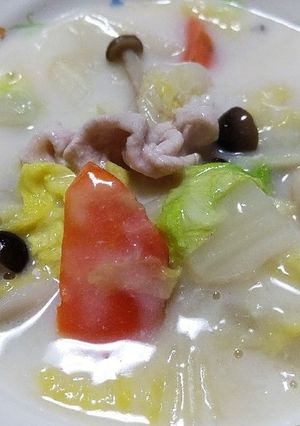 白菜のクリームシチュー-レシピのメイン写真