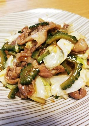 甜麺醤が無くてもできる⭐ゴーヤの回鍋肉-レシピのメイン写真