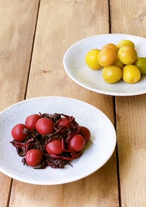 梅講師直伝⑨ 小梅のカリカリ漬け／袋漬け-レシピのメイン写真