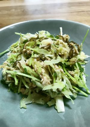 豆苗とキャベツの塩こぶサラダ-レシピのメイン写真