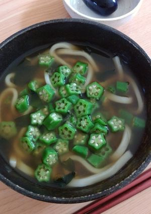 トロっと温かオクラうどん-レシピのメイン写真