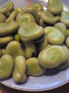 失敗しない!そら豆の茹で方-レシピのメイン写真