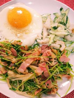 ベーコンと豆苗のニンニク炒め♪-レシピのメイン写真