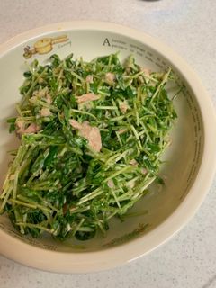 豆苗のごまマヨサラダ-レシピのメイン写真