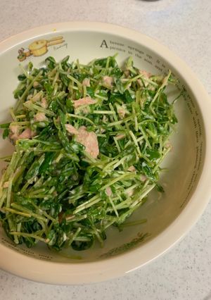 豆苗のごまマヨサラダ-レシピのメイン写真
