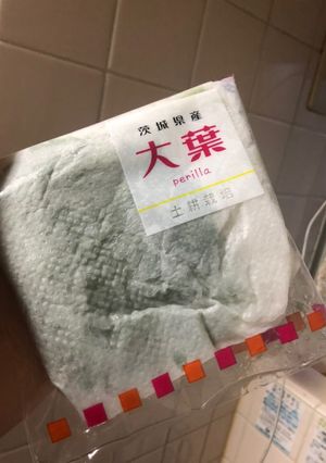 大葉の簡単保存方法-レシピのメイン写真