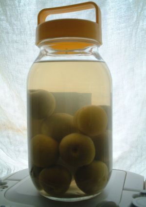 梅酒-レシピのメイン写真
