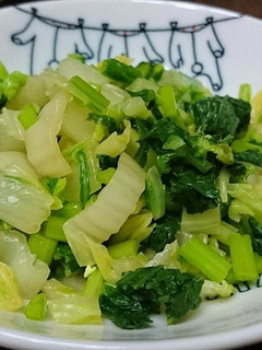 すぐ出来る☆青菜と白菜の浅漬け風お浸し-レシピのメイン写真