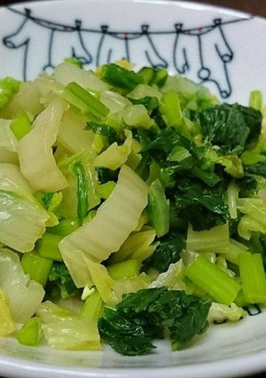 すぐ出来る☆青菜と白菜の浅漬け風お浸し-レシピのメイン写真