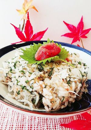 明太子とじゃこの簡単混ぜごはん-レシピのメイン写真