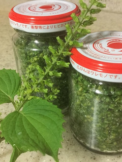 紫蘇の実塩つけ-レシピのメイン写真