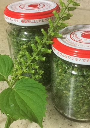 紫蘇の実塩つけ-レシピのメイン写真