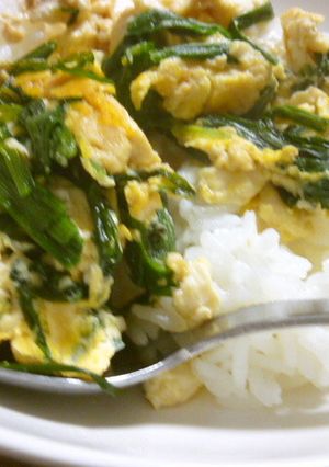 簡単にら玉豆腐炒め-レシピのメイン写真